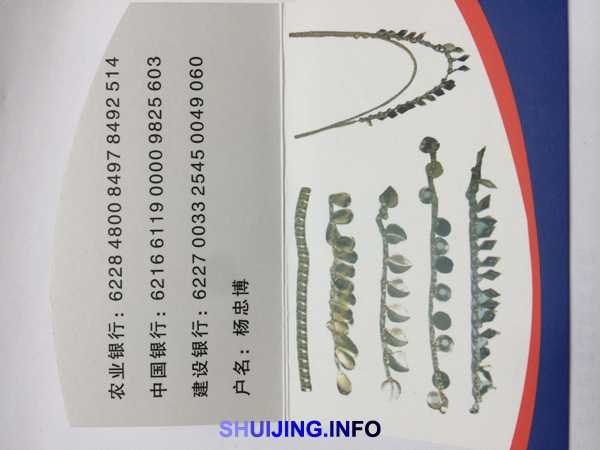 F193-m