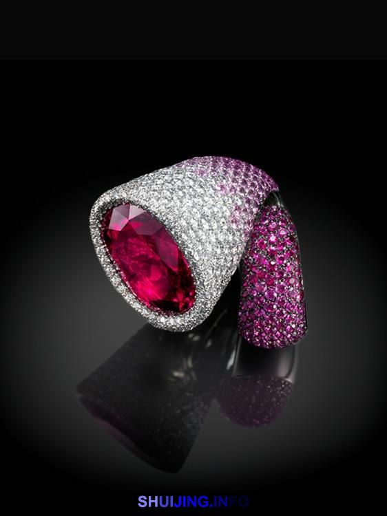 PALMIERO_20161203_10_680bb5cfc350edca6ed1a4a313ccea26