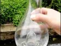 醒酒杯，红酒瓶 (111播放)