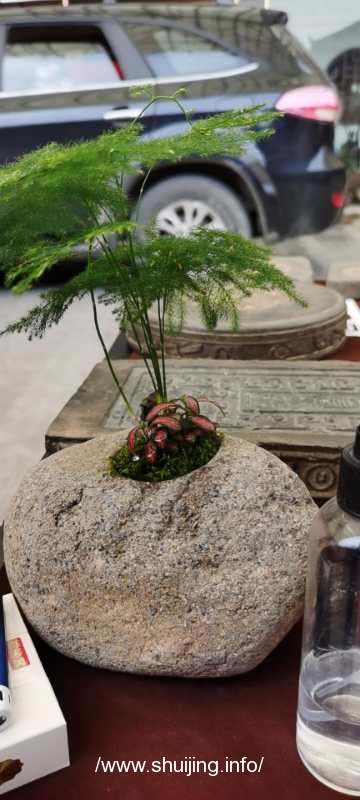 微信图片_20201002133149